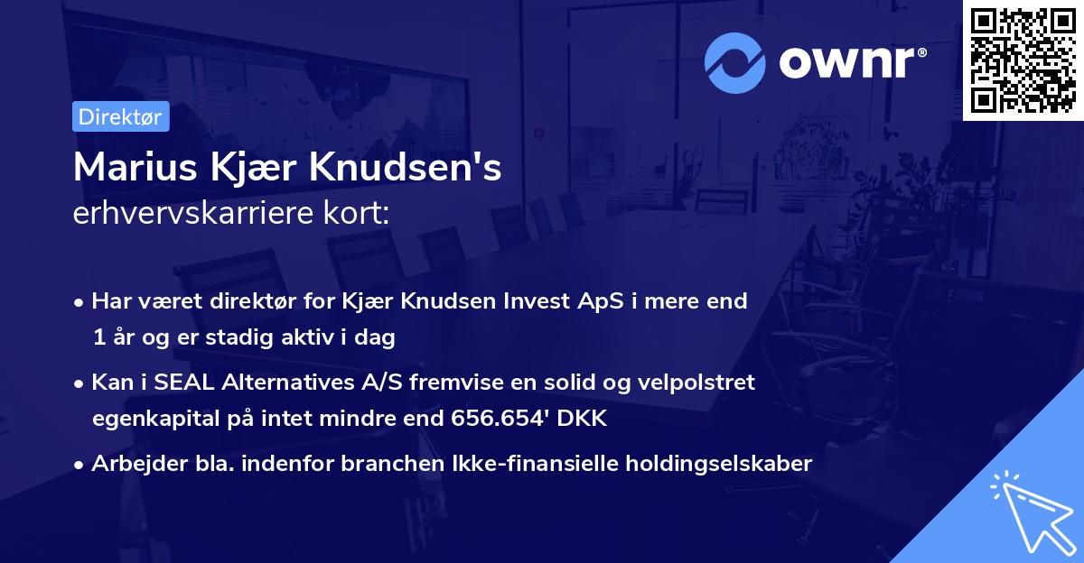 Marius Kjær Knudsen's erhvervskarriere kort