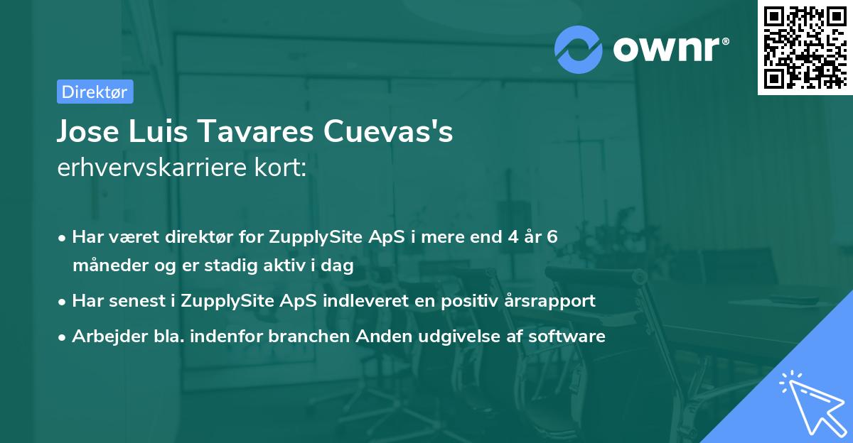 Jose Luis Tavares Cuevas's erhvervskarriere kort