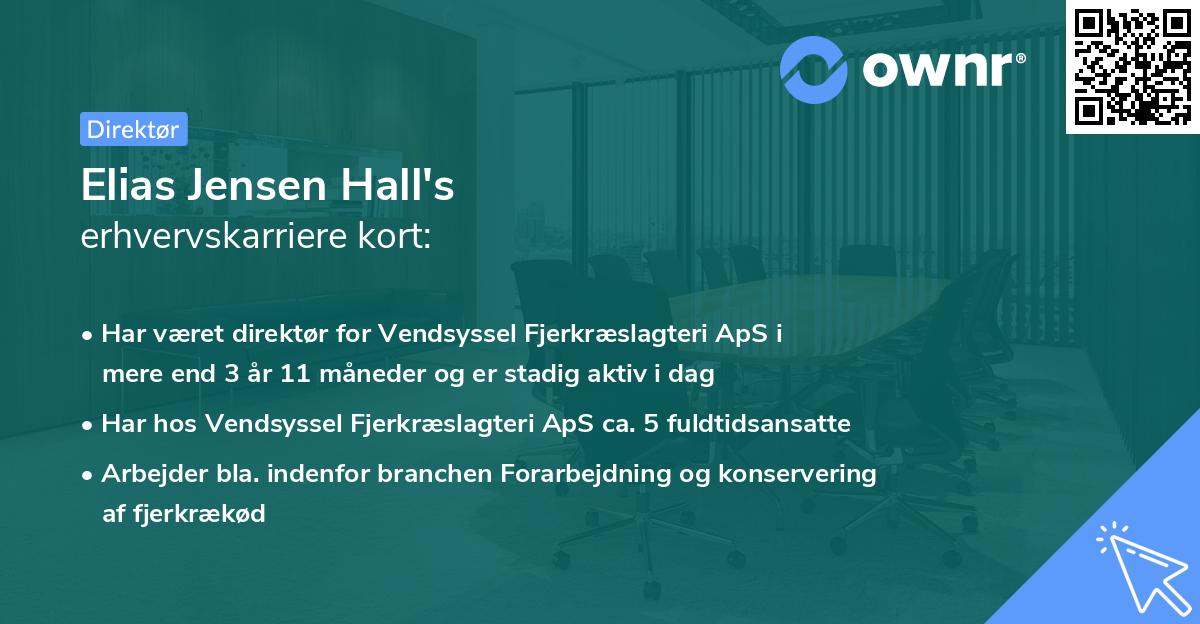 Elias Jensen Hall's erhvervskarriere kort