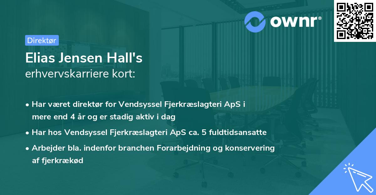 Elias Jensen Hall's erhvervskarriere kort