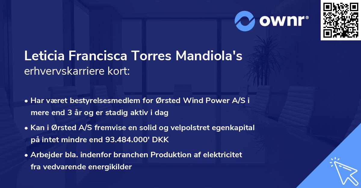 Leticia Francisca Torres Mandiola's erhvervskarriere kort
