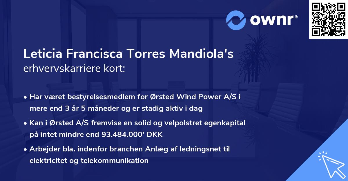 Leticia Francisca Torres Mandiola's erhvervskarriere kort