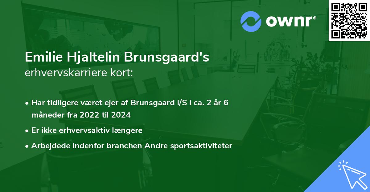 Emilie Hjaltelin Brunsgaard's erhvervskarriere kort