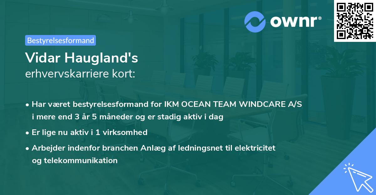 Vidar Haugland's erhvervskarriere kort