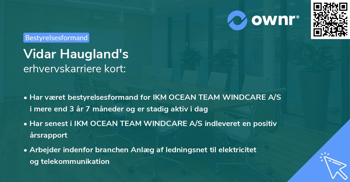 Vidar Haugland's erhvervskarriere kort