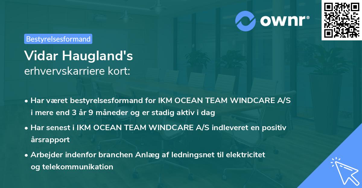 Vidar Haugland's erhvervskarriere kort
