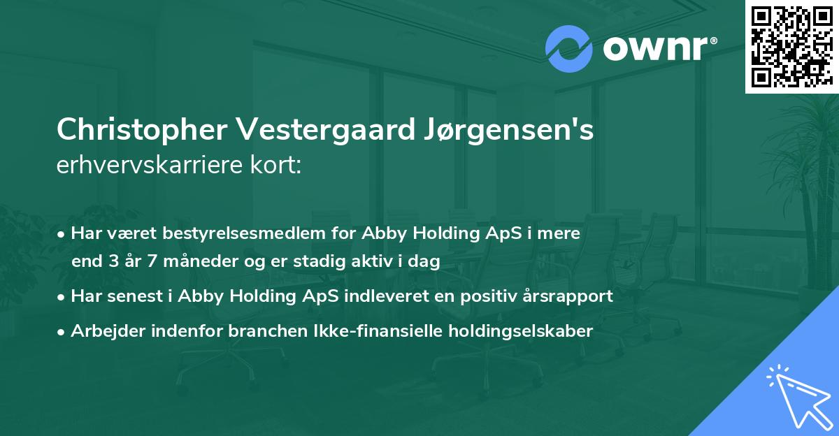 Christopher Vestergaard Jørgensen's erhvervskarriere kort