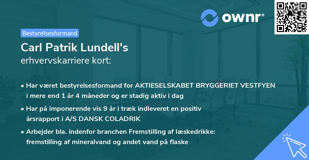 Carl Patrik Lundell's erhvervskarriere kort