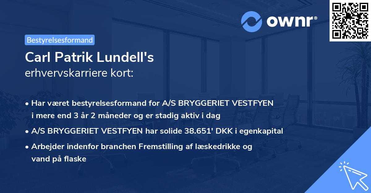 Carl Patrik Lundell's erhvervskarriere kort