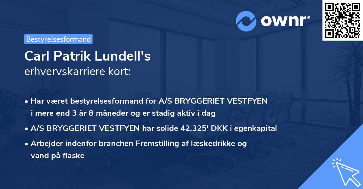 Carl Patrik Lundell's erhvervskarriere kort