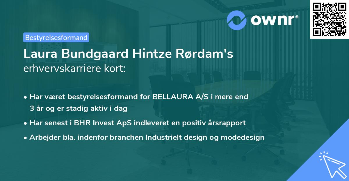 Laura Bundgaard Hintze Rørdam's erhvervskarriere kort