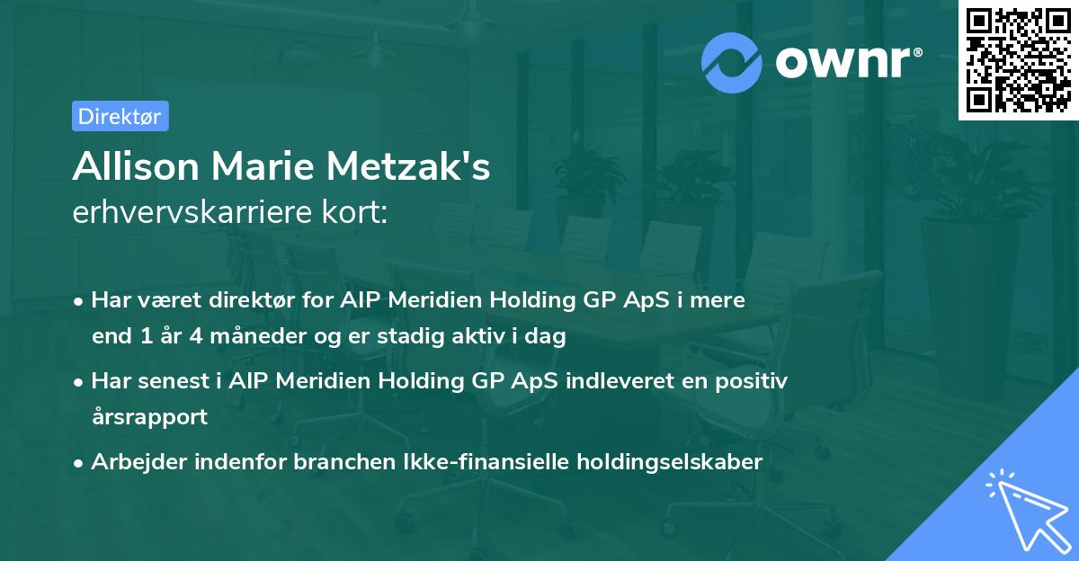 Allison Marie Metzak's erhvervskarriere kort