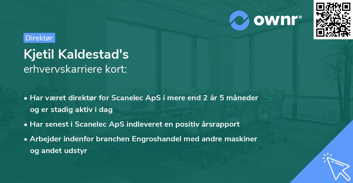 Kjetil Kaldestad's erhvervskarriere kort