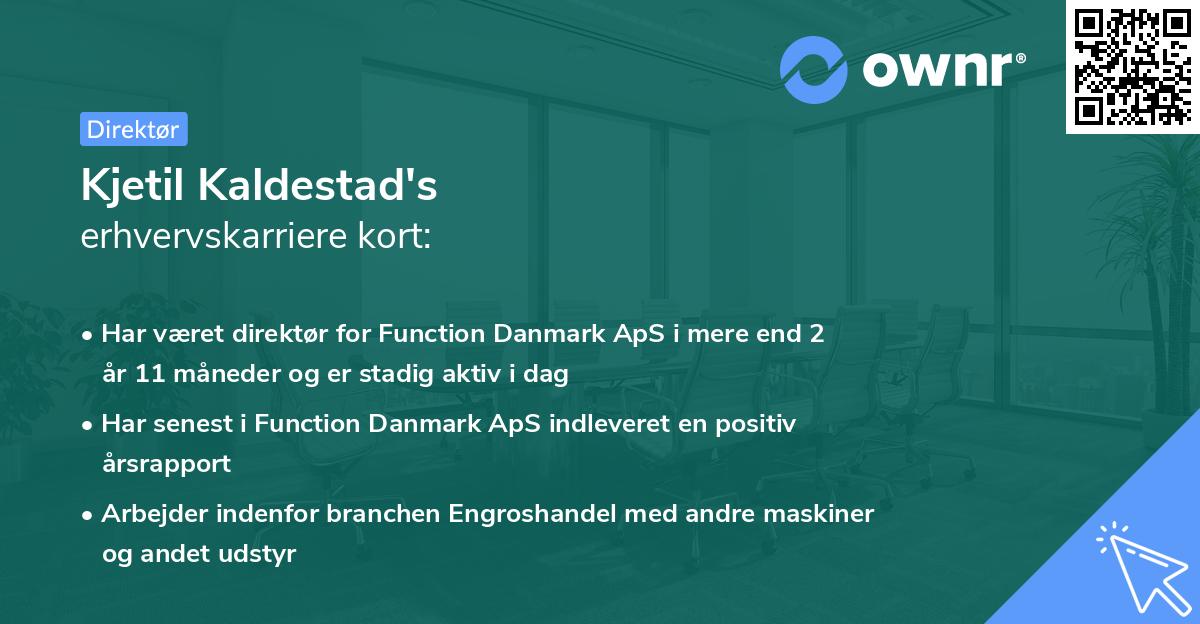 Kjetil Kaldestad's erhvervskarriere kort