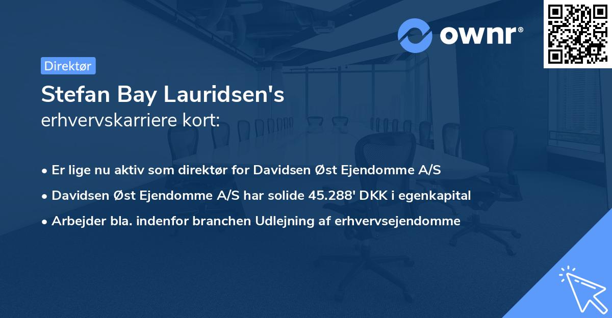 Stefan Bay Lauridsen's erhvervskarriere kort