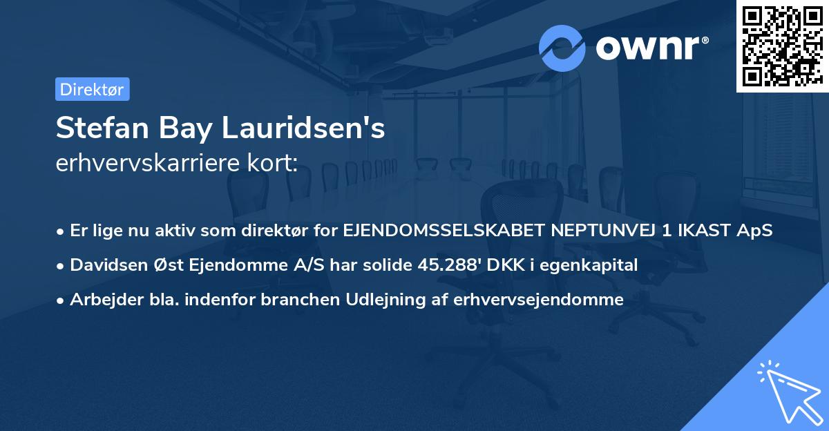 Stefan Bay Lauridsen's erhvervskarriere kort