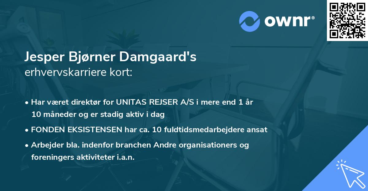 Jesper Bjørner Damgaard's erhvervskarriere kort