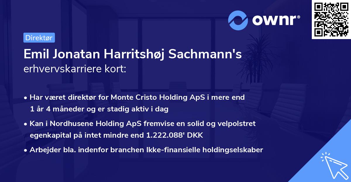 Emil Jonatan Harritshøj Sachmann's erhvervskarriere kort