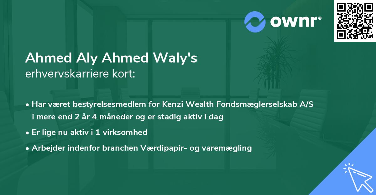 Ahmed Aly Ahmed Waly's erhvervskarriere kort