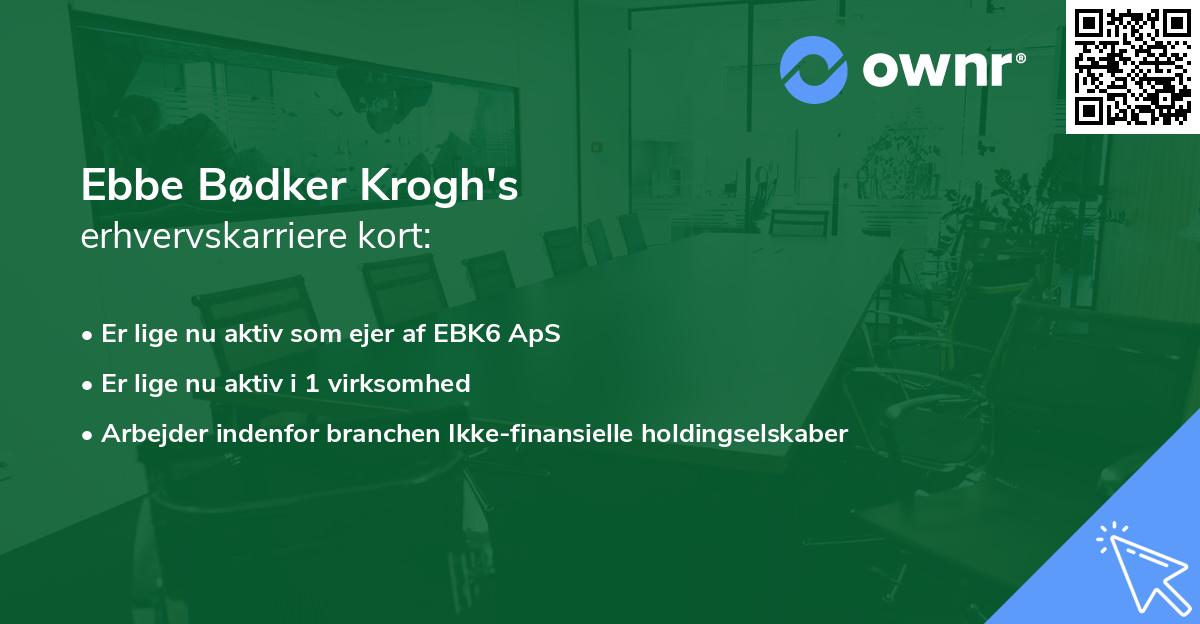 Ebbe Bødker Krogh's erhvervskarriere kort