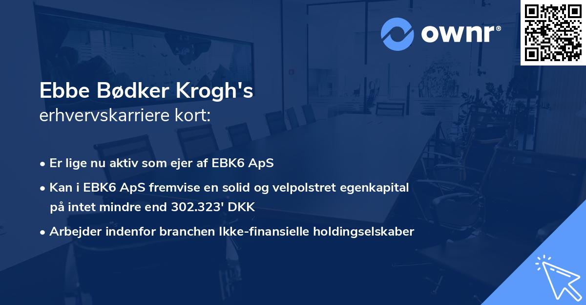 Ebbe Bødker Krogh's erhvervskarriere kort