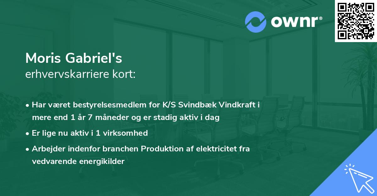 Moris Gabriel's erhvervskarriere kort