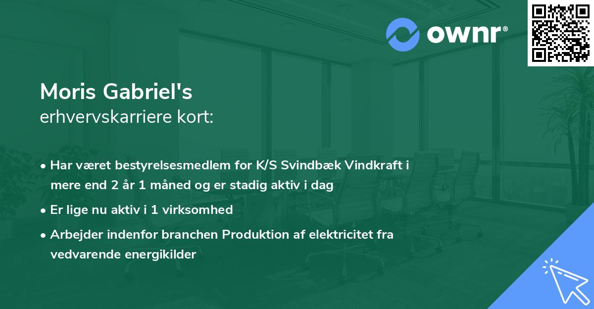 Moris Gabriel's erhvervskarriere kort