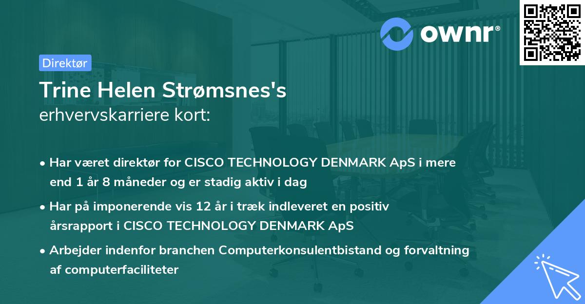 Trine Helen Strømsnes's erhvervskarriere kort