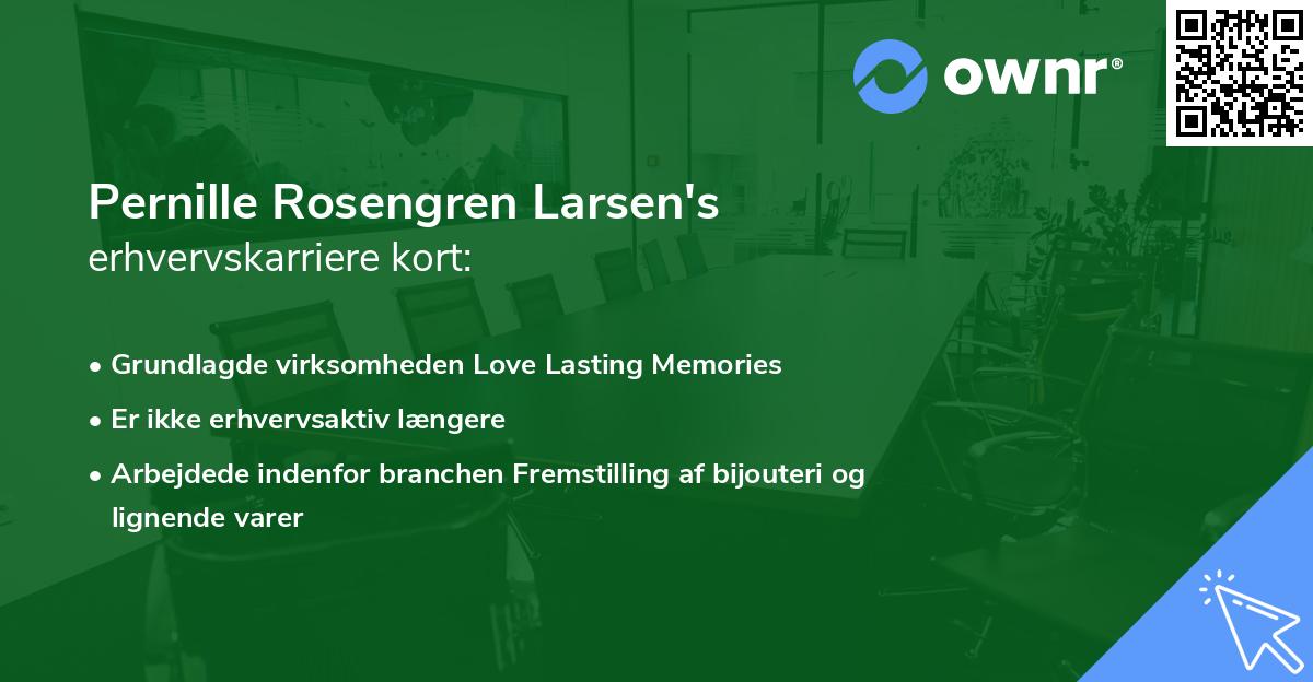 Pernille Rosengren Larsen's erhvervskarriere kort