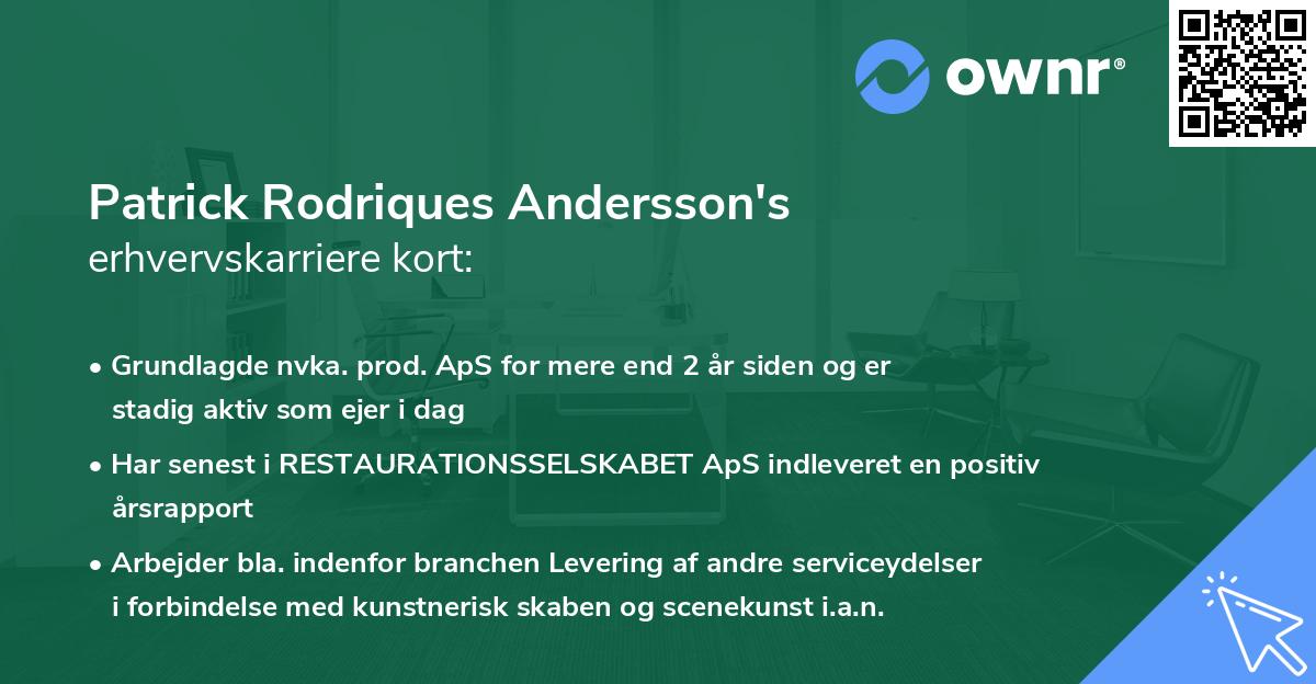 Patrick Rodriques Andersson's erhvervskarriere kort