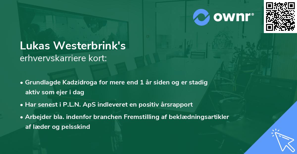 Lukas Westerbrink's erhvervskarriere kort