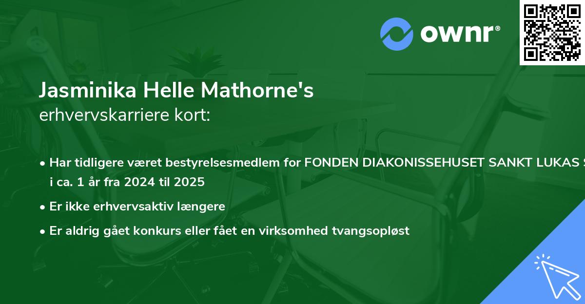 Jasminika Helle Mathorne's erhvervskarriere kort