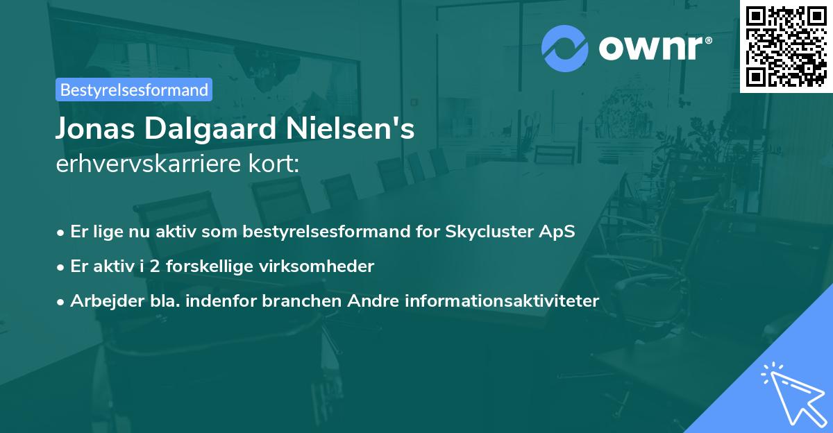 Jonas Dalgaard Nielsen's erhvervskarriere kort