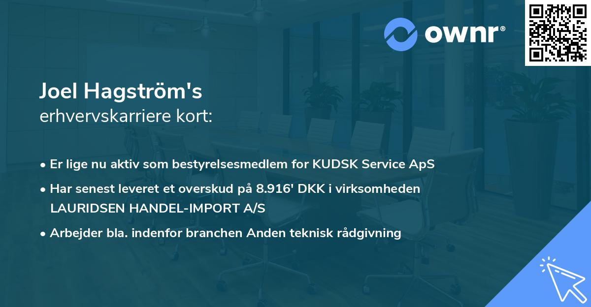 Joel Hagström's erhvervskarriere kort