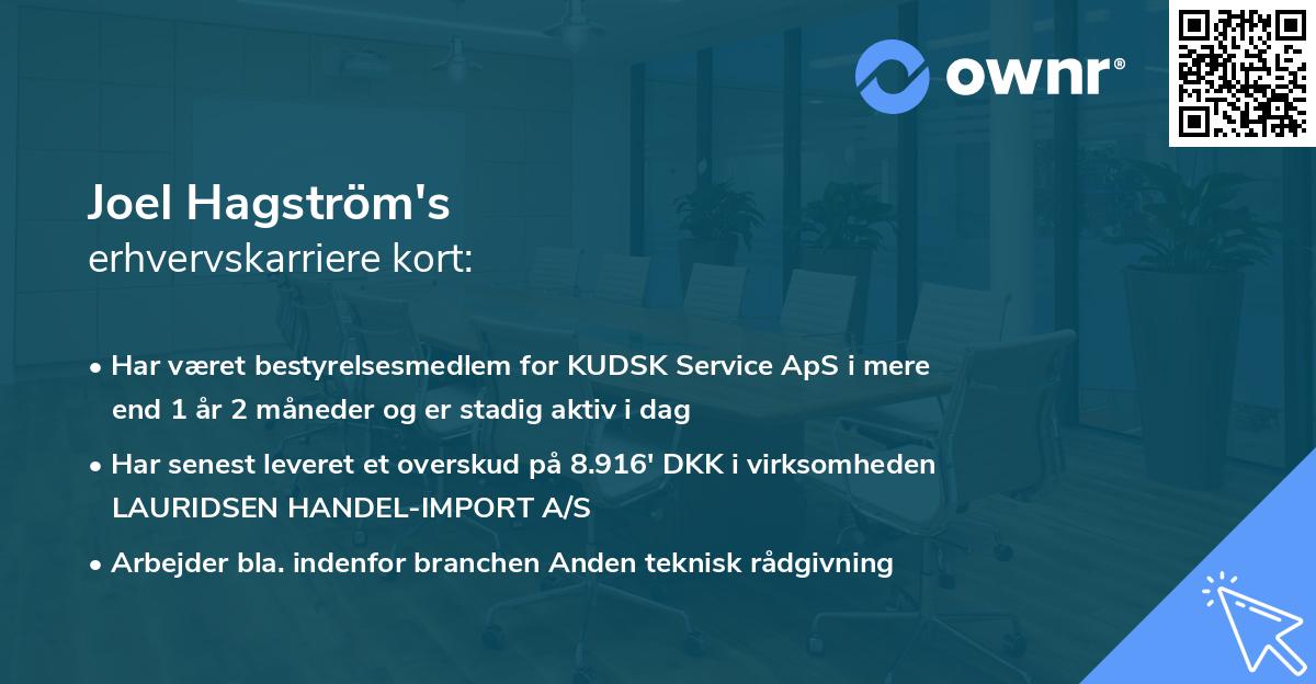 Joel Hagström's erhvervskarriere kort