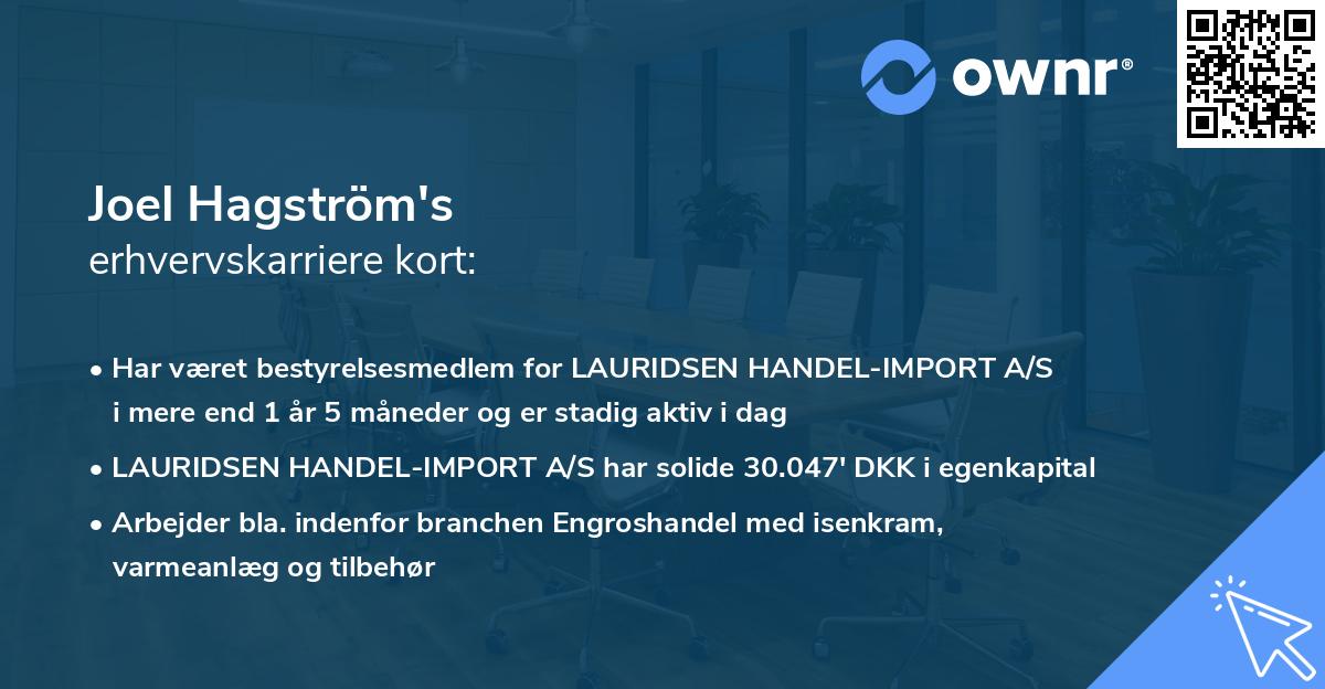 Joel Hagström's erhvervskarriere kort