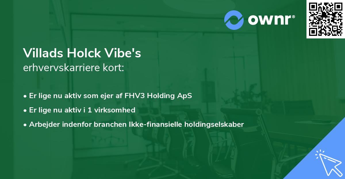 Villads Holck Vibe's erhvervskarriere kort