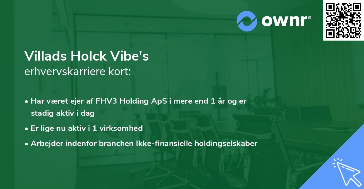 Villads Holck Vibe's erhvervskarriere kort