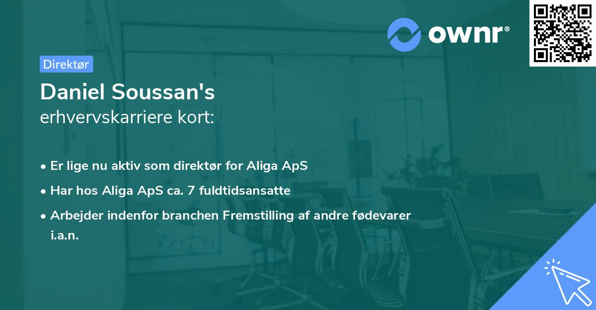 Daniel Soussan's erhvervskarriere kort