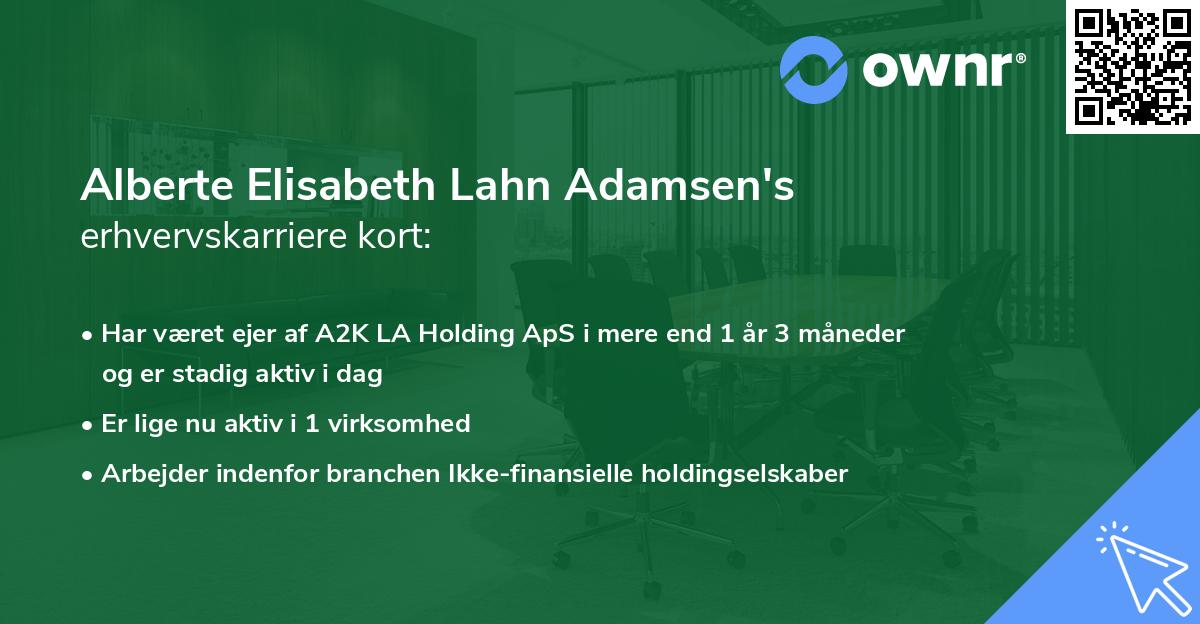 Alberte Elisabeth Lahn Adamsen's erhvervskarriere kort