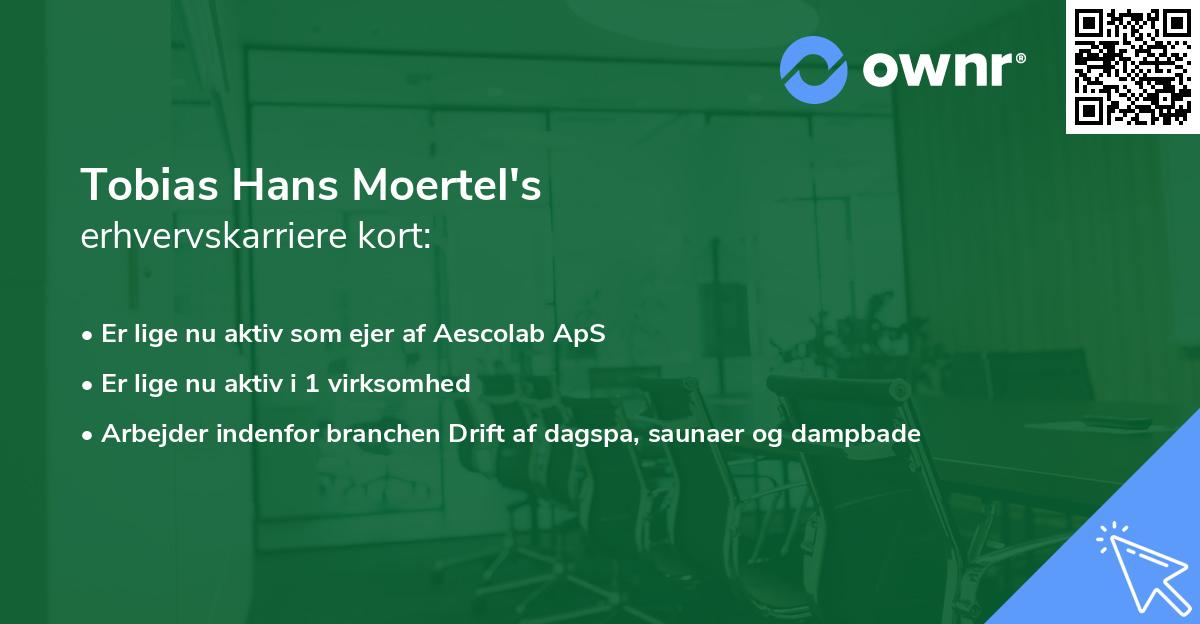 Tobias Hans Moertel's erhvervskarriere kort