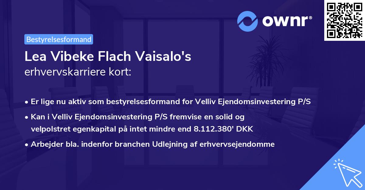 Lea Vibeke Flach Vaisalo's erhvervskarriere kort