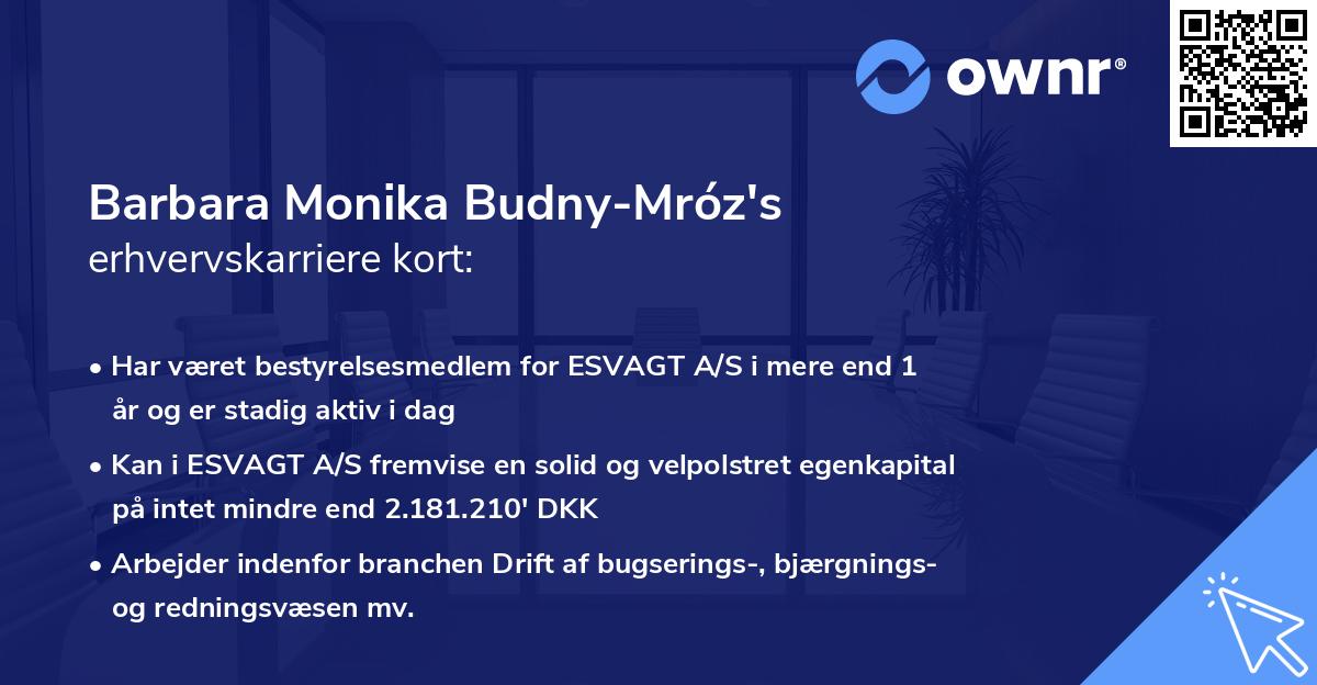 Barbara Monika Budny-Mróz's erhvervskarriere kort