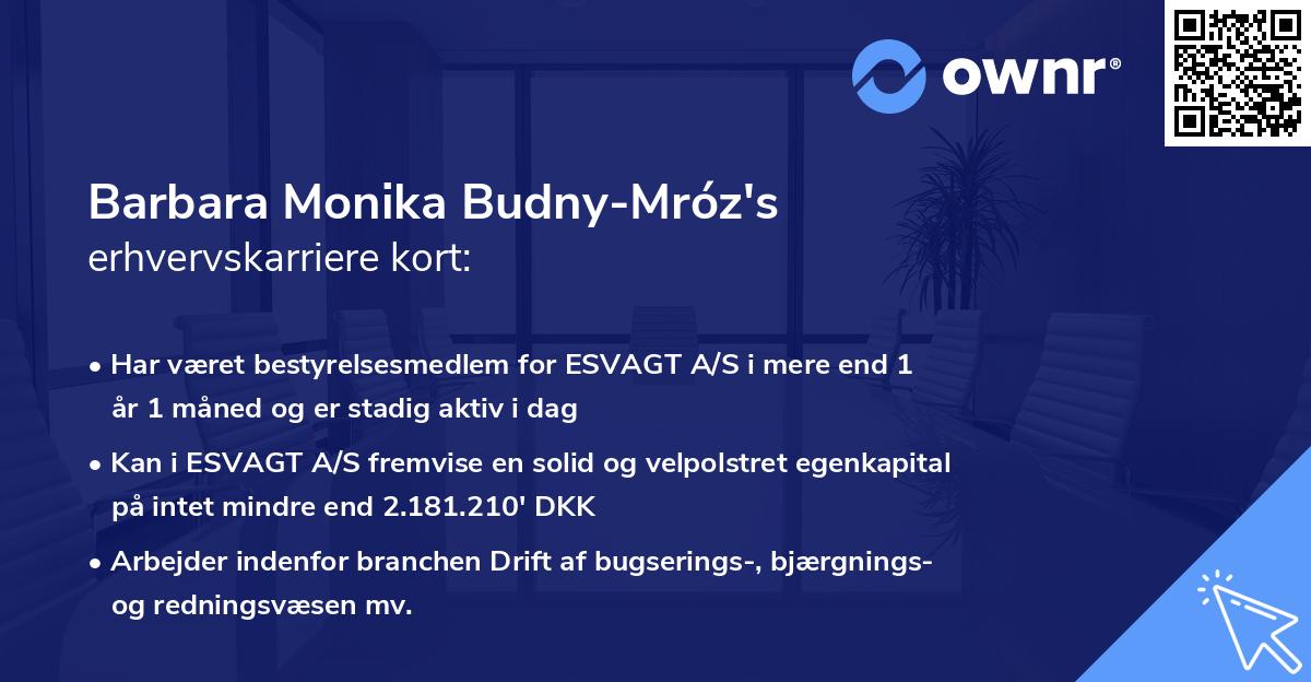 Barbara Monika Budny-Mróz's erhvervskarriere kort