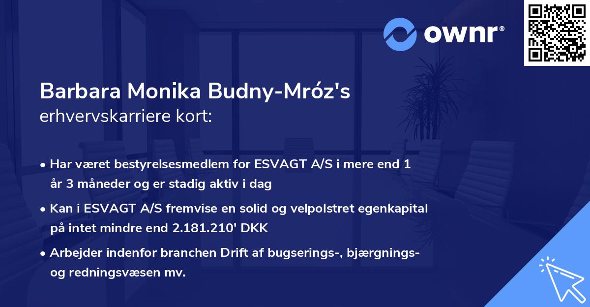 Barbara Monika Budny-Mróz's erhvervskarriere kort