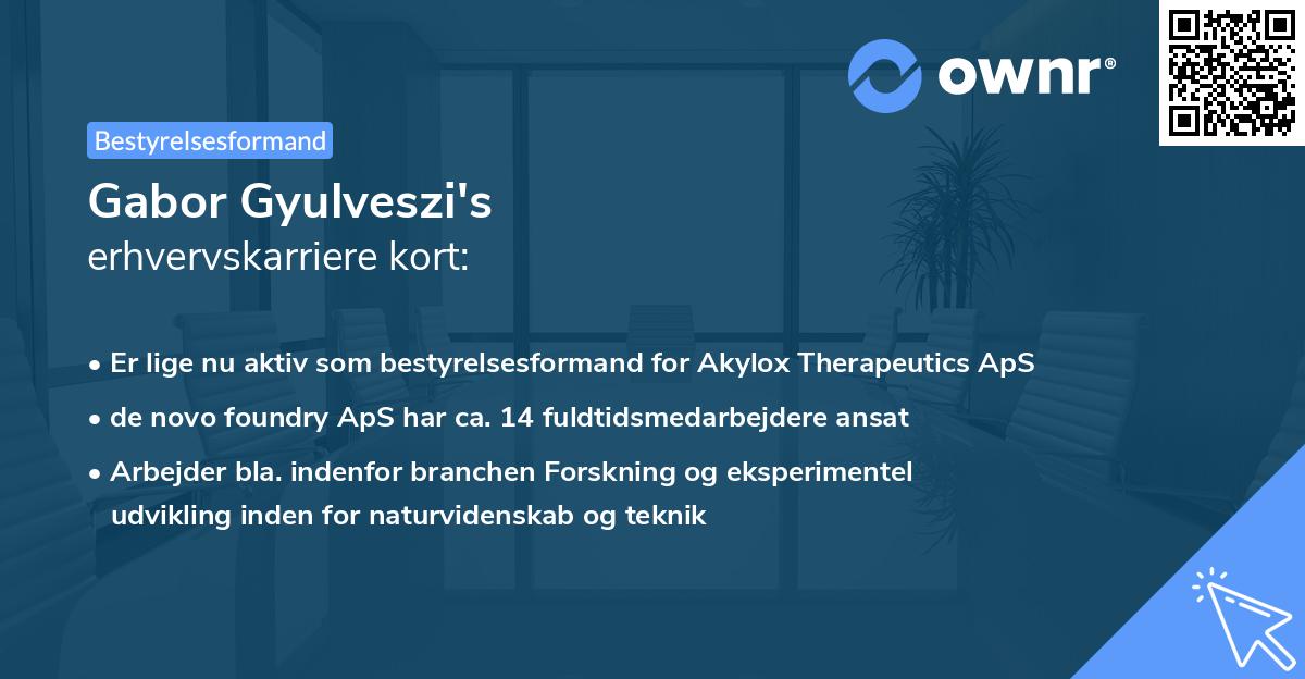 Gabor Gyulveszi's erhvervskarriere kort