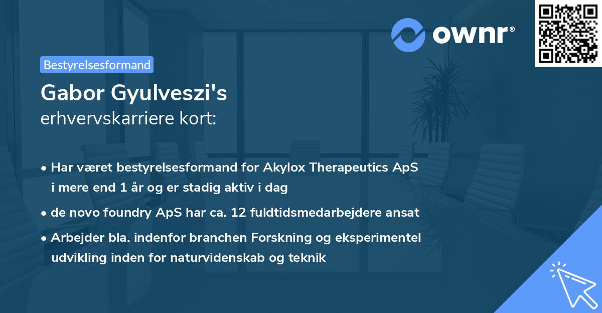 Gabor Gyulveszi's erhvervskarriere kort