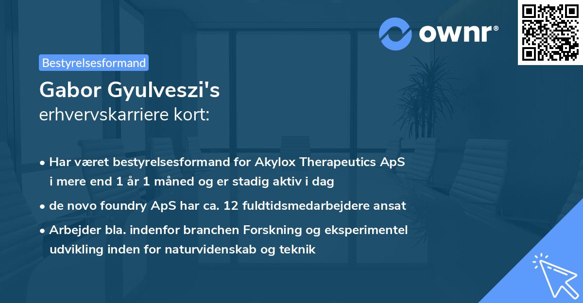 Gabor Gyulveszi's erhvervskarriere kort