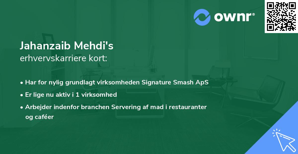 Jahanzaib Mehdi's erhvervskarriere kort