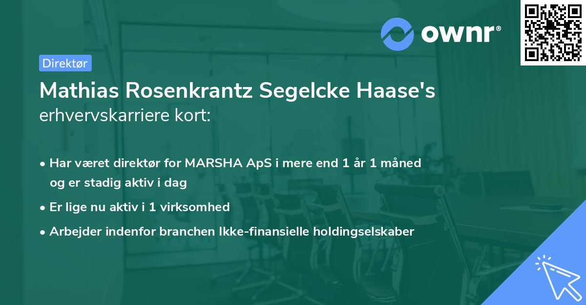 Mathias Rosenkrantz Segelcke Haase's erhvervskarriere kort